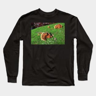 Elephants in Tall Grass Long Sleeve T-Shirt